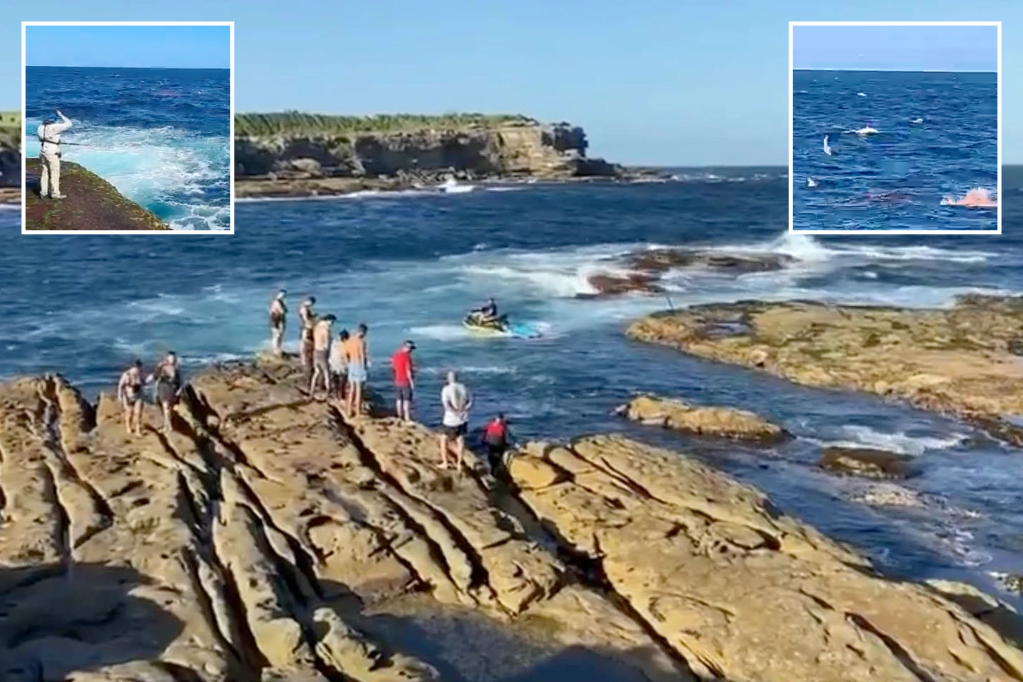 Mortal ataque de tiburón en Australia obliga a cerrar playas de Sídney