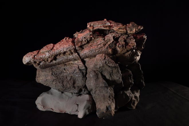 Investigadores en Australia han descubierto los restos de un cocodrilo de agua dulce al que llamaron Confractosuchus sauroktonos, que significa "Asesino de dinosaurios roto."