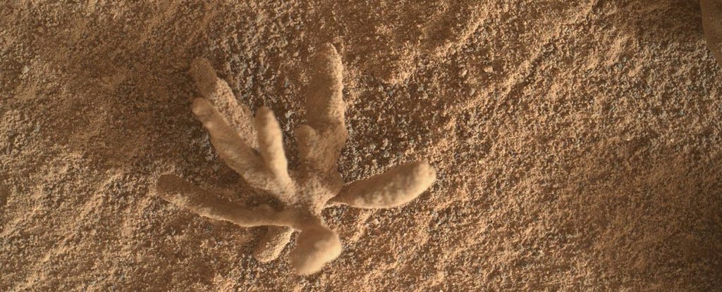 Curiosity Rover capturó esta foto de una delicada y delicada "flor" metálica en Marte