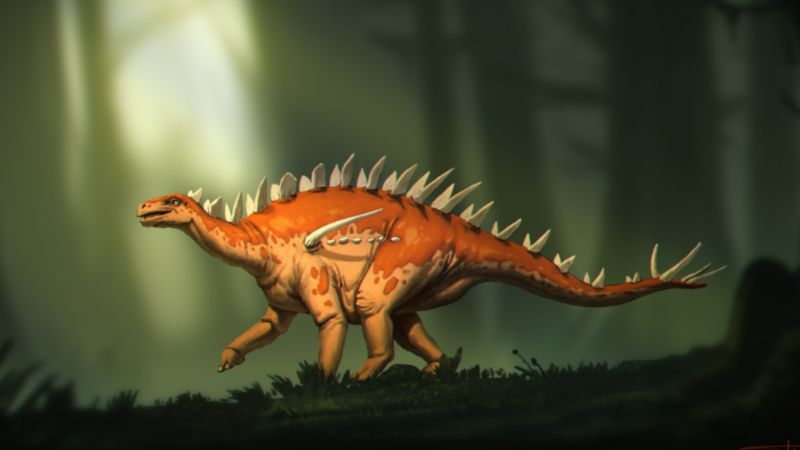 Fósiles de estegosaurio descubiertos tienen una "extraña mezcla de características"