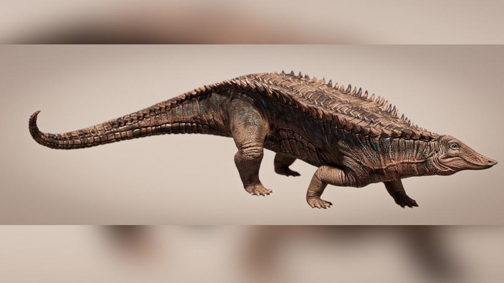 Identifican un ancestro de cocodrilo de 215 millones de años que es anterior a los dinosaurios