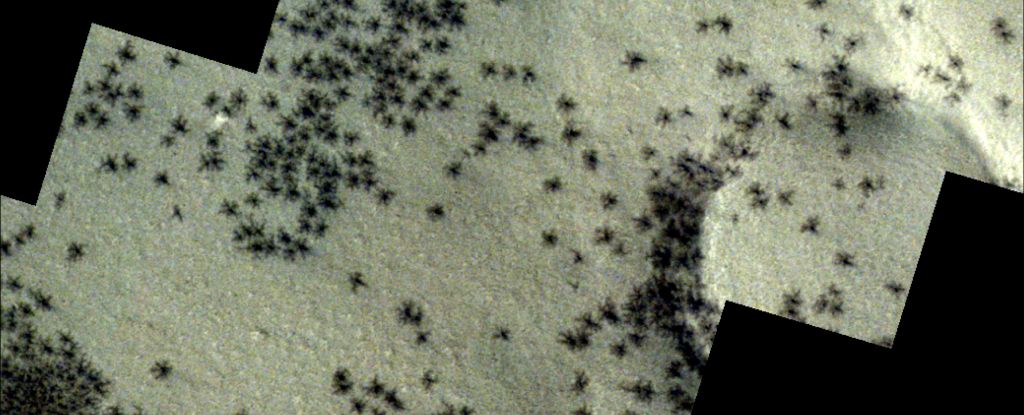 Extrañas arañas se propagan en la ciudad inca de Marte en imágenes sorprendentes