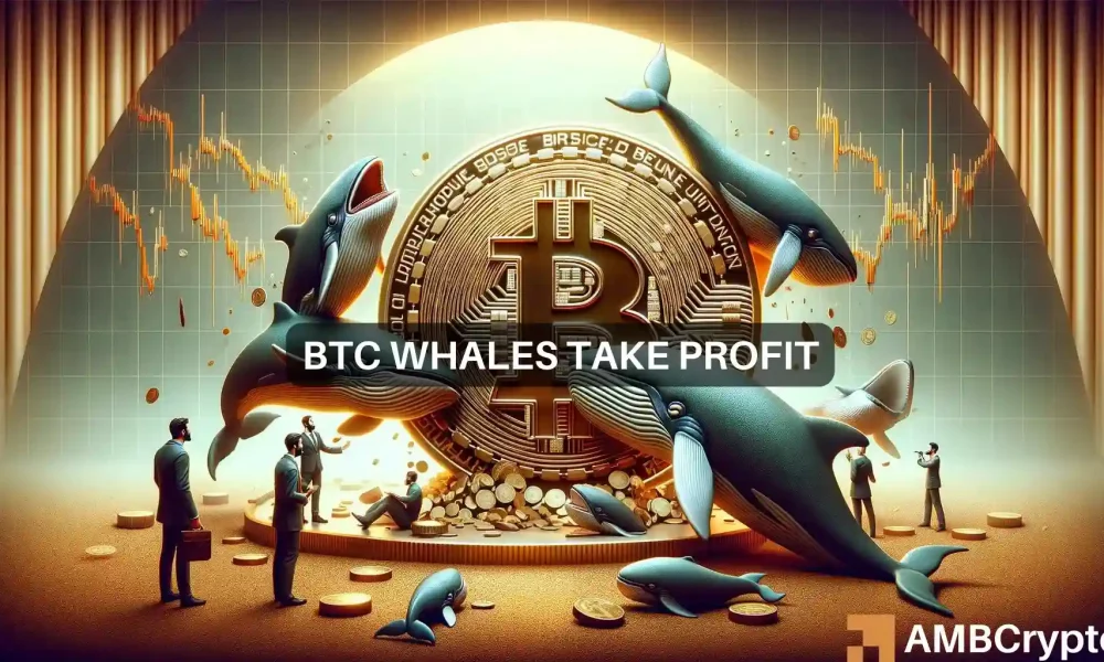 Bitcoin por debajo de $ 64 000: observe estas ballenas en busca de signos de reversión