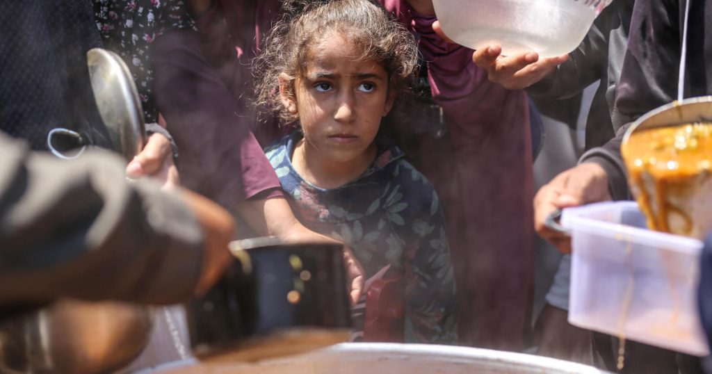 Israel culpa a la ONU de la hambruna en Gaza, mientras que UNICEF dice que un tercio de los bebés y niños pequeños en Gaza sufren desnutrición aguda.
